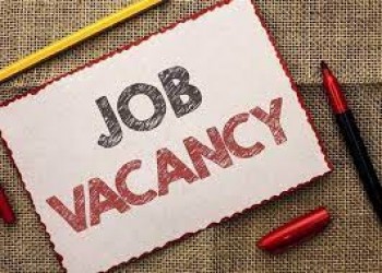 Job Vacancies